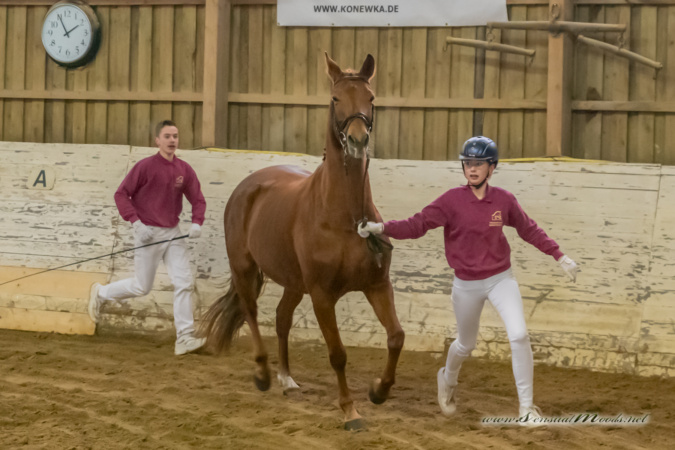 gk_20260214_0209-1_1800