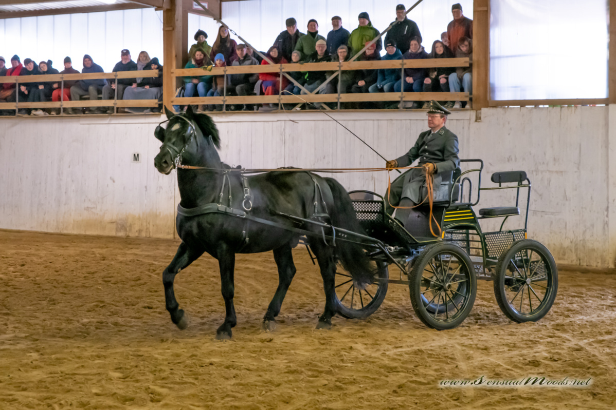 gk_20260214_0223-1_1800