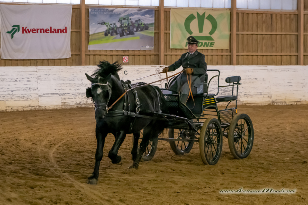 gk_20260214_0257-1_1800