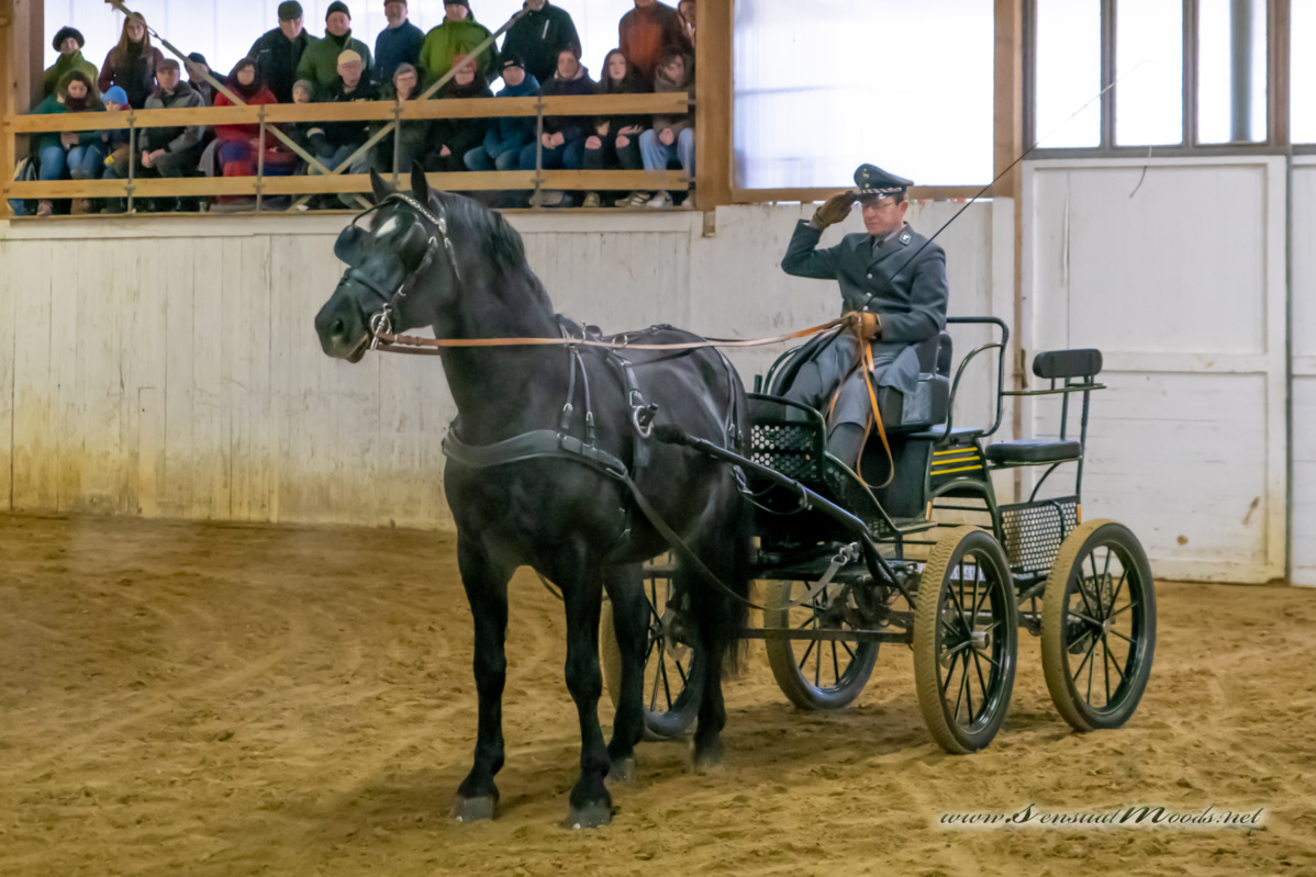 gk_20260214_0259-1_1800