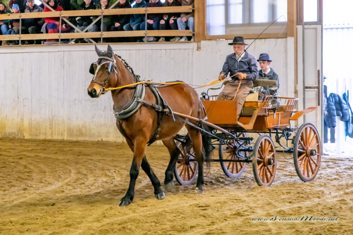 gk_20260214_0270-1_1800