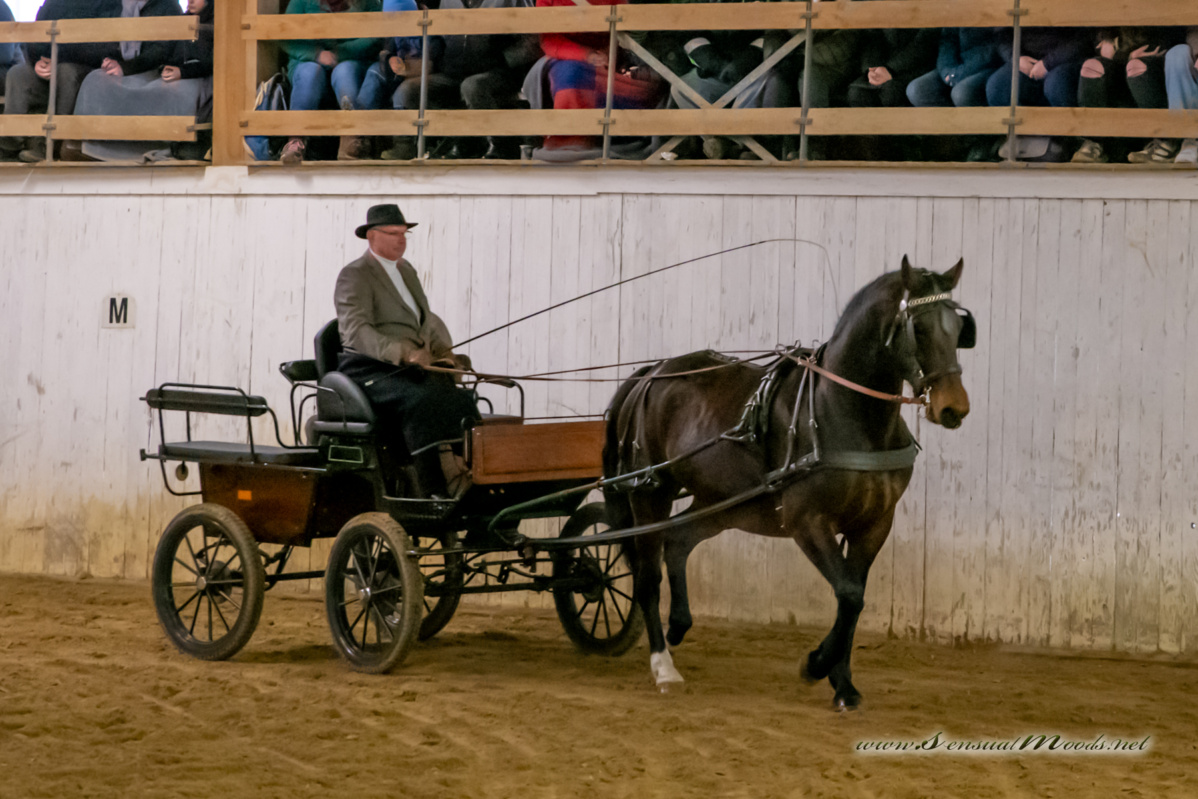 gk_20260214_0273-1_1800