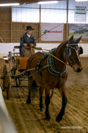 gk_20260214_0279-1_1800