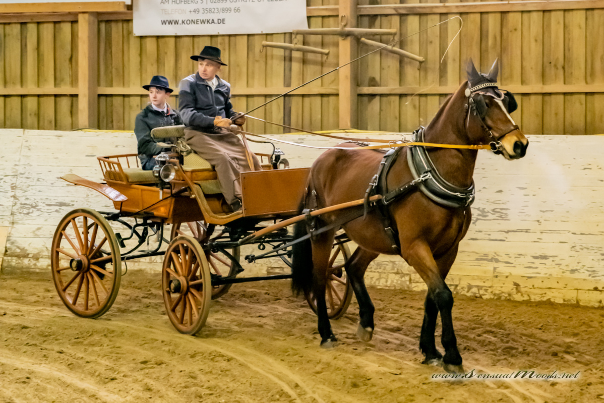 gk_20260214_0292-1_1800