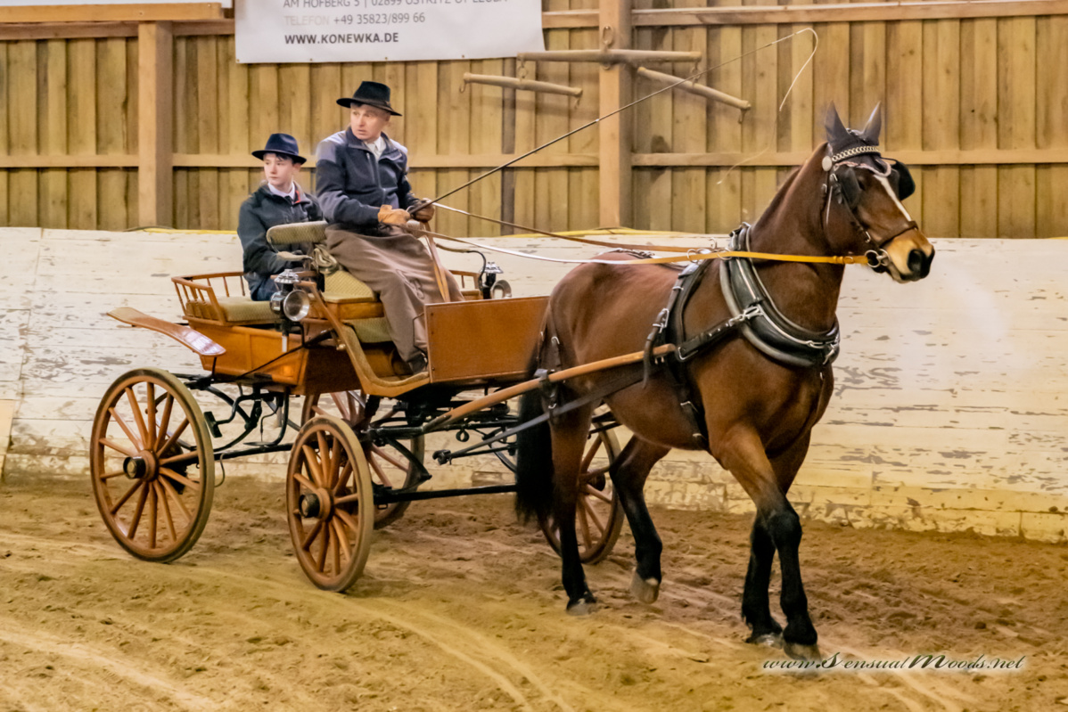 gk_20260214_0292-2_1800