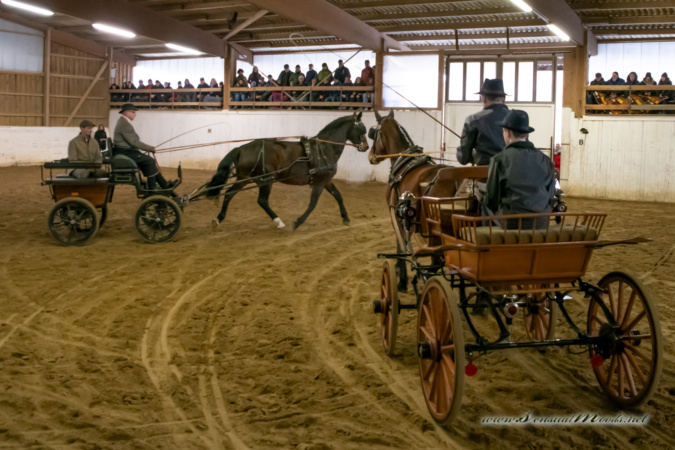 gk_20260214_0304-1_1800