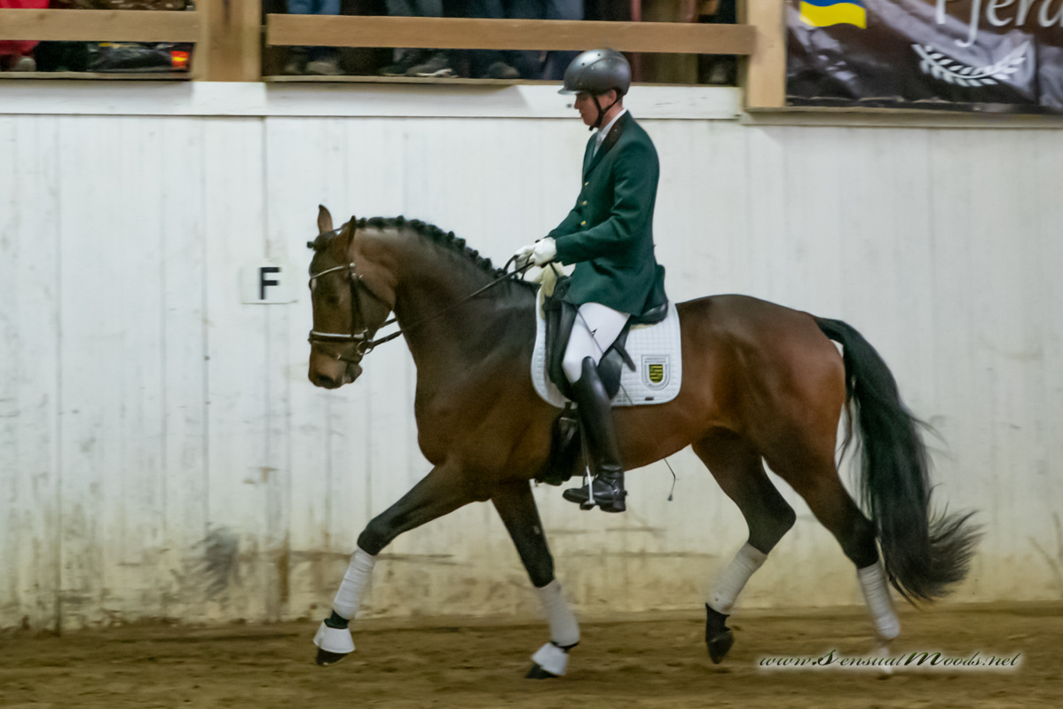 gk_20260214_0317-1_1800