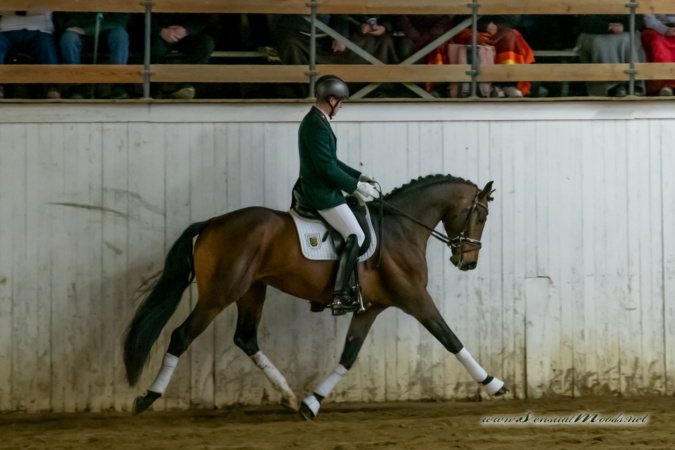 gk_20260214_0320-1_1800