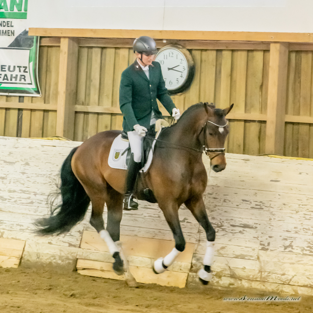 gk_20260214_0331-1_1800