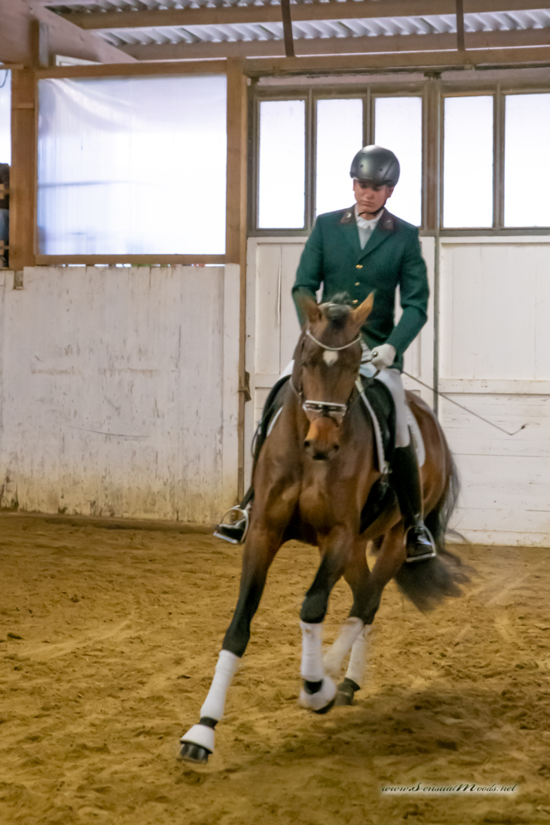 gk_20260214_0340-1_1800