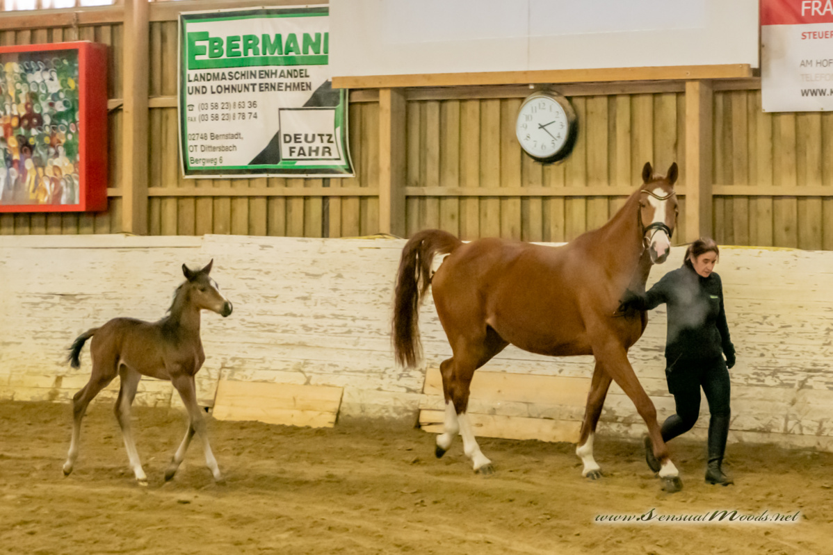 gk_20260214_0354-1_1800