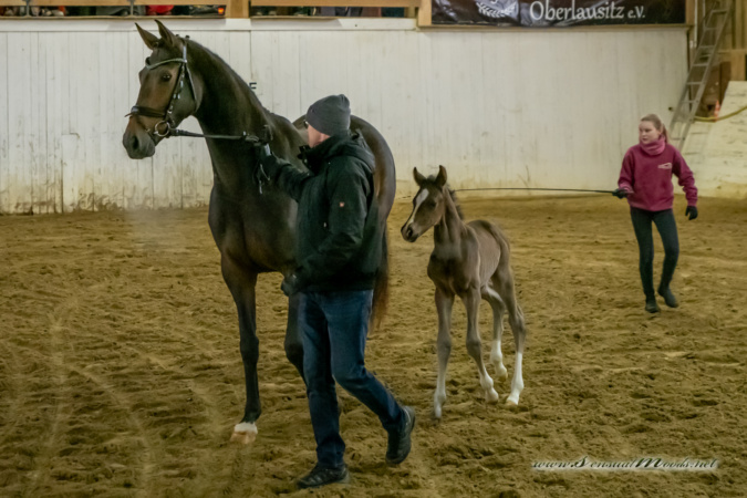 gk_20260214_0359-1_1800