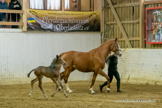 gk_20260214_0370-1_1800