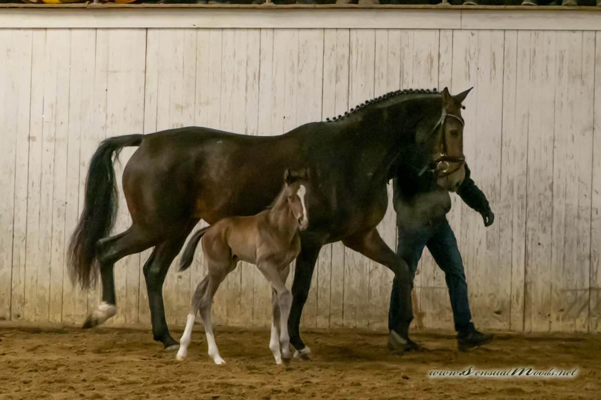 gk_20260214_0381-1_1800