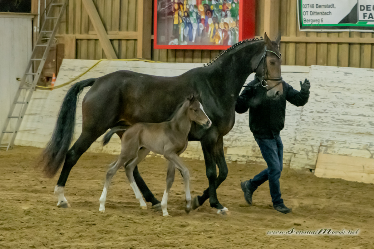 gk_20260214_0390-1_1800