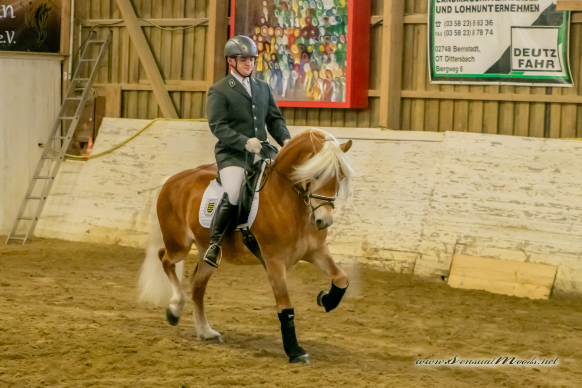 gk_20260214_0416-1_1800