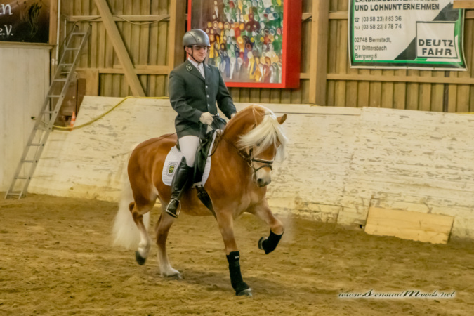 gk_20260214_0416-1_1800