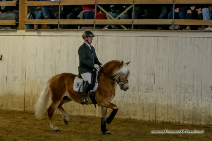 gk_20260214_0423-1_1800