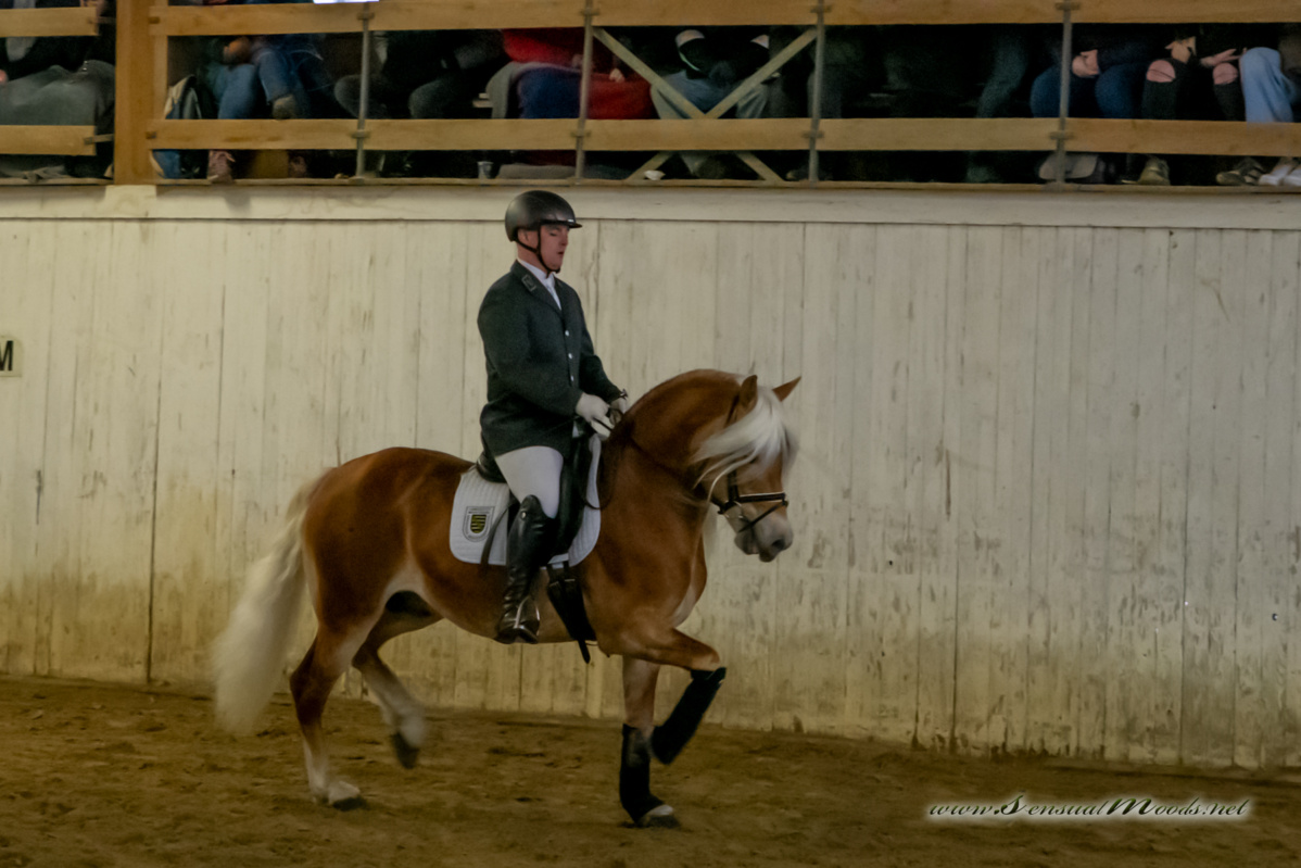 gk_20260214_0423-1_1800