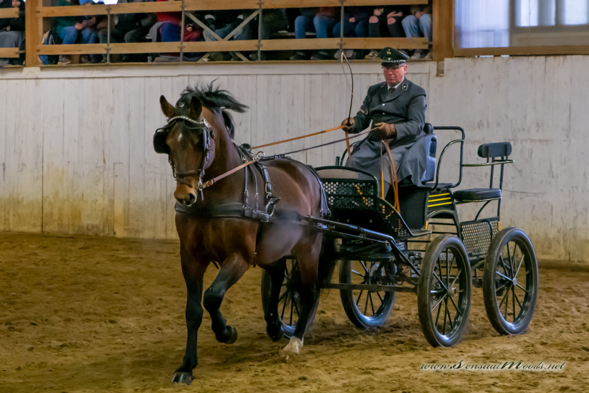 gk_20260214_0438-1_1800