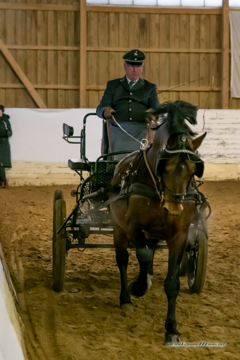 gk_20260214_0441-1_1800