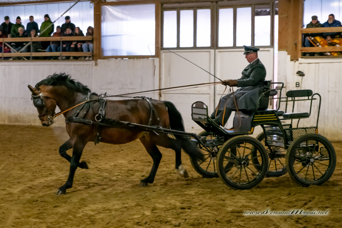 gk_20260214_0443-1_1800