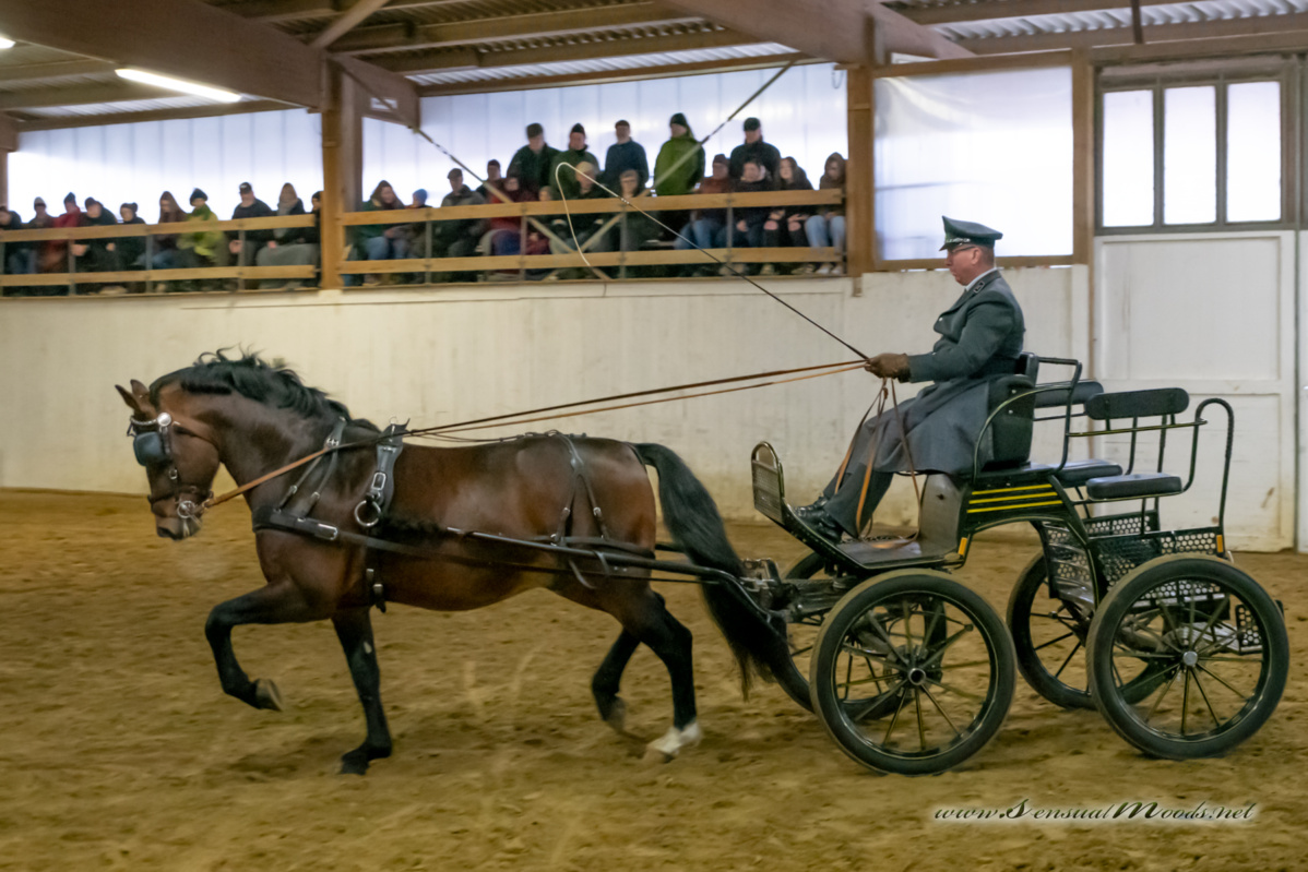 gk_20260214_0445-1_1800