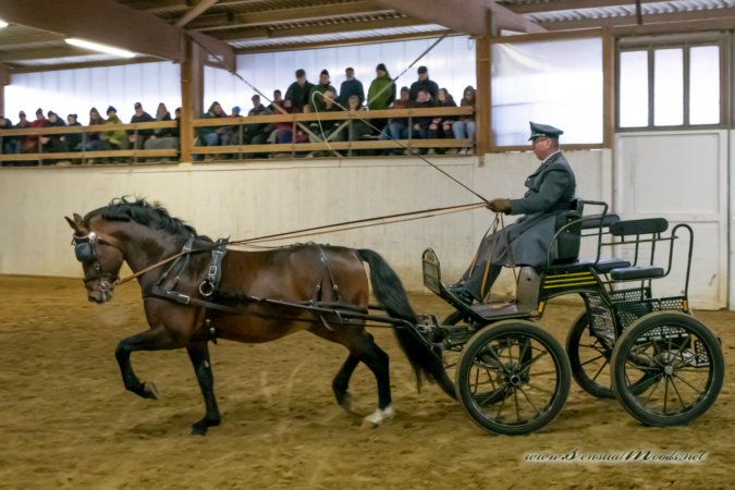 gk_20260214_0445-1_1800