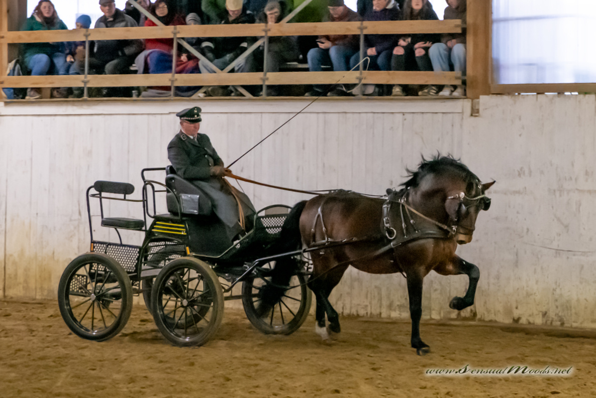 gk_20260214_0448-1_1800