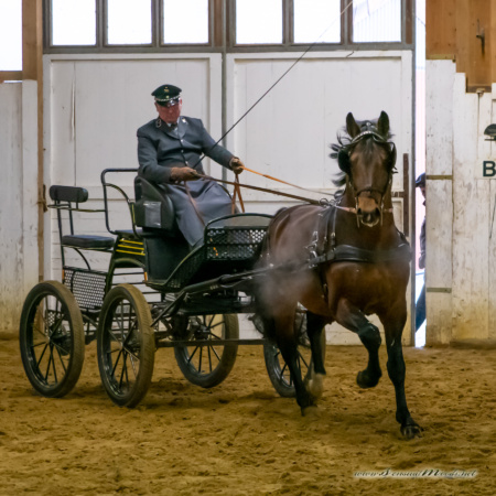 gk_20260214_0453-1_1800