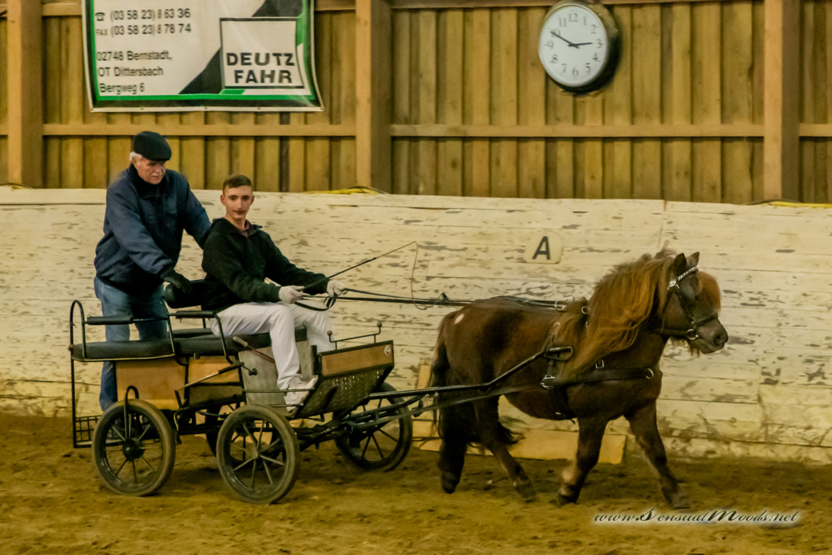 gk_20260214_0492-1_1800