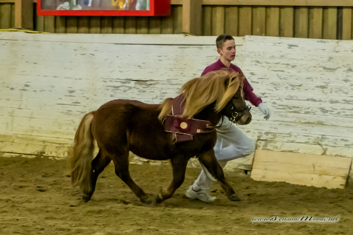 gk_20260214_0495-1_1800