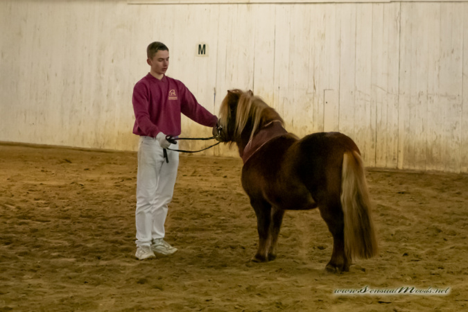 gk_20260214_0498-1_1800