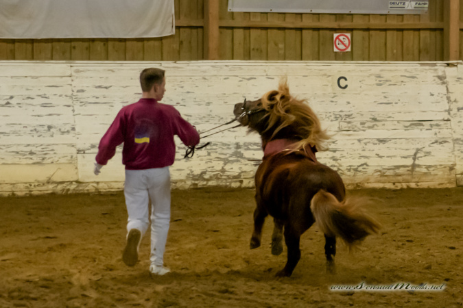 gk_20260214_0503-1_1800