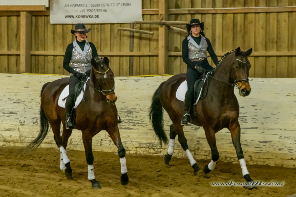 gk_20260214_0556-1_1800