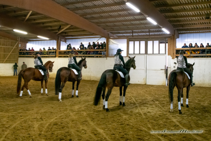 gk_20260214_0577-1_1800