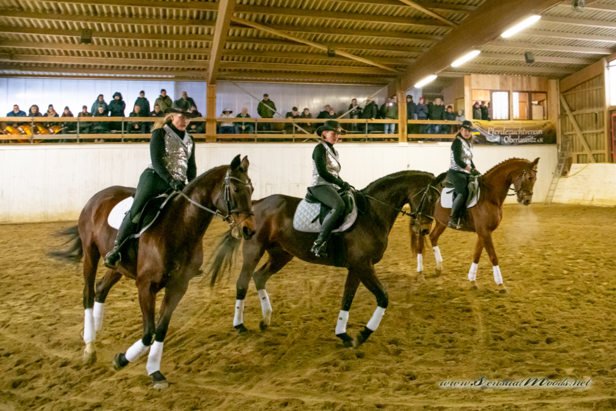 gk_20260214_0613-1_1800