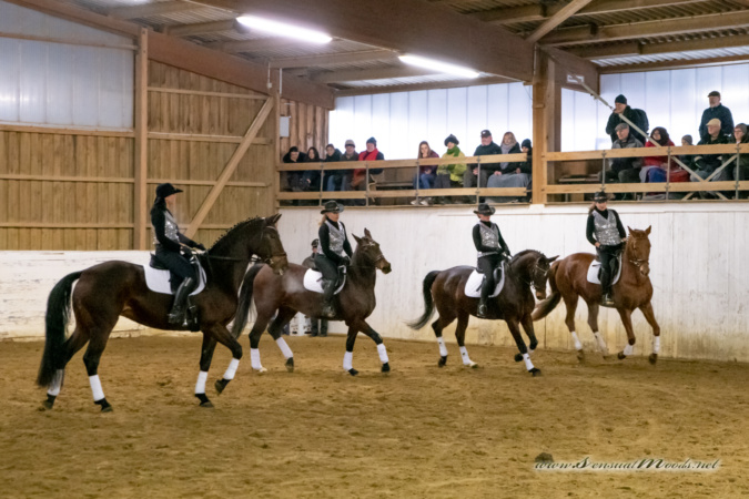 gk_20260214_0660-1_1800