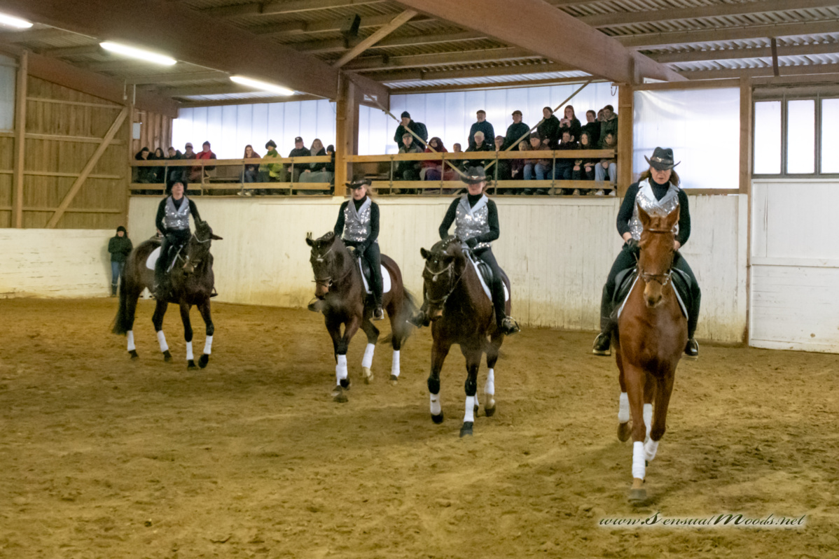 gk_20260214_0669-1_1800