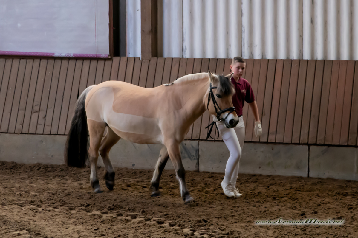 gk_20260308_0004-1_1800