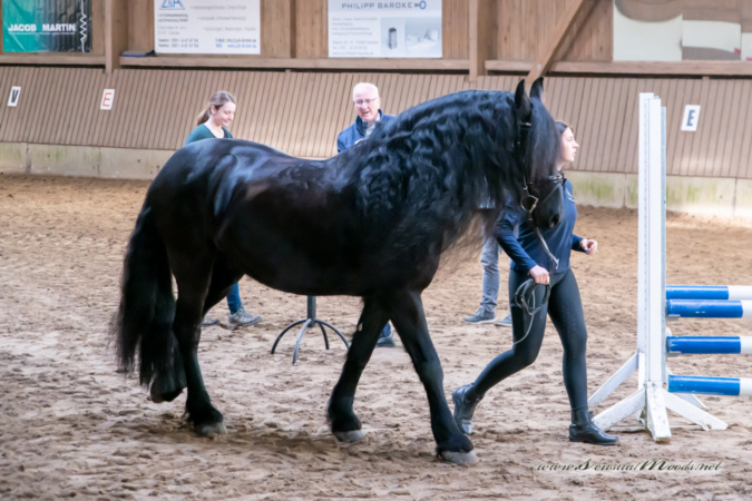 gk_20260308_0006-1_1800