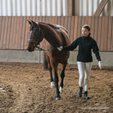 gk_20260308_0010-1_1800