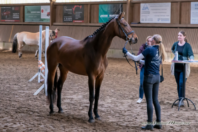 gk_20260308_0015-1_1800