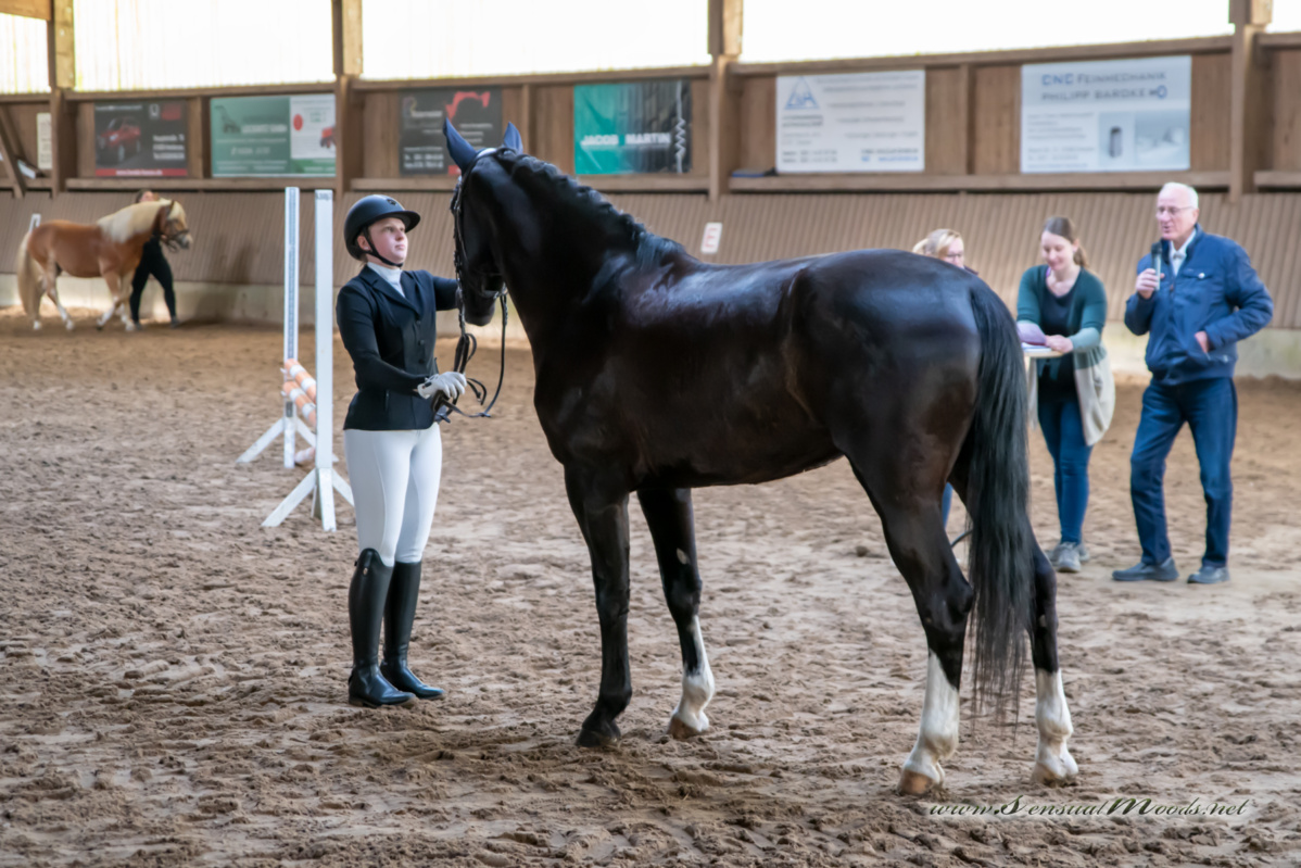 gk_20260308_0025-1_1800