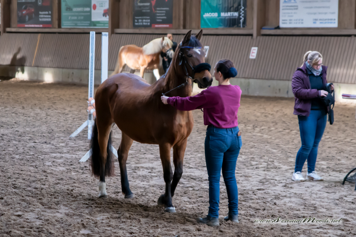 gk_20260308_0038-1_1800