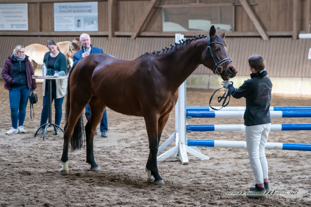 gk_20260308_0068-1_1800