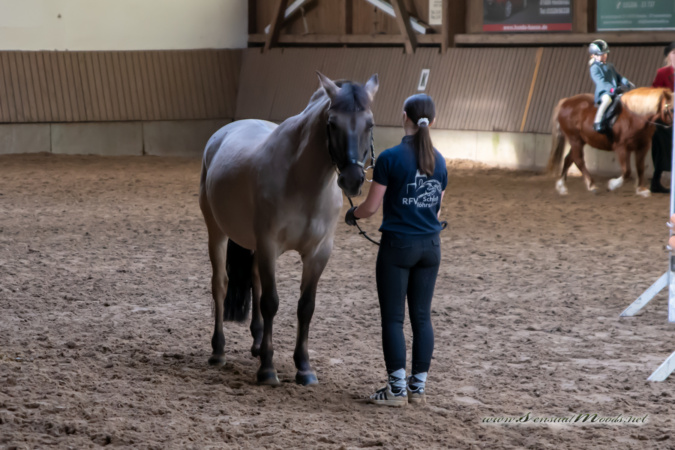 gk_20260308_0072-1_1800