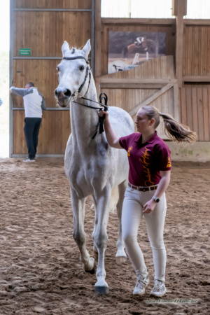 gk_20260308_0085-1_1800