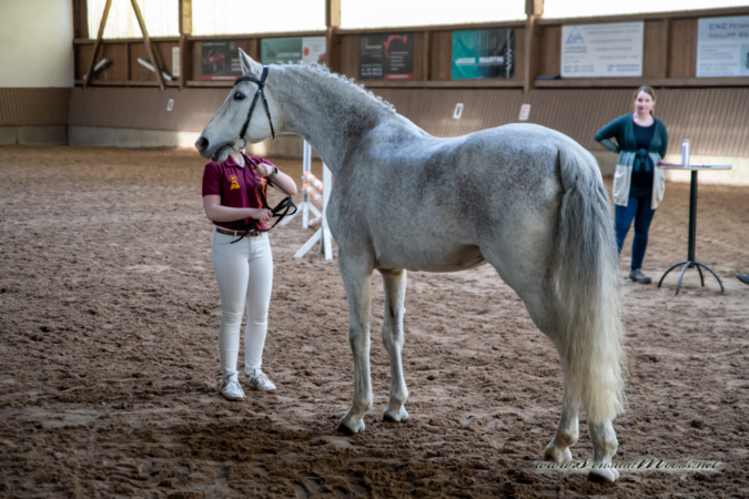 gk_20260308_0092-1_1800