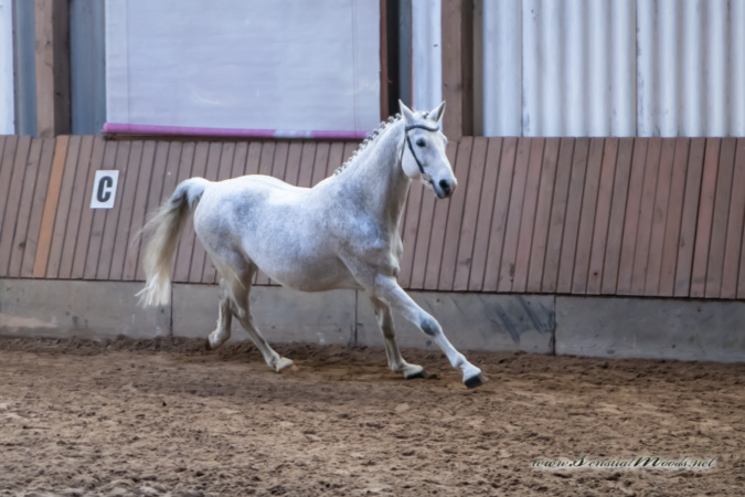 gk_20260308_0096-1_1800